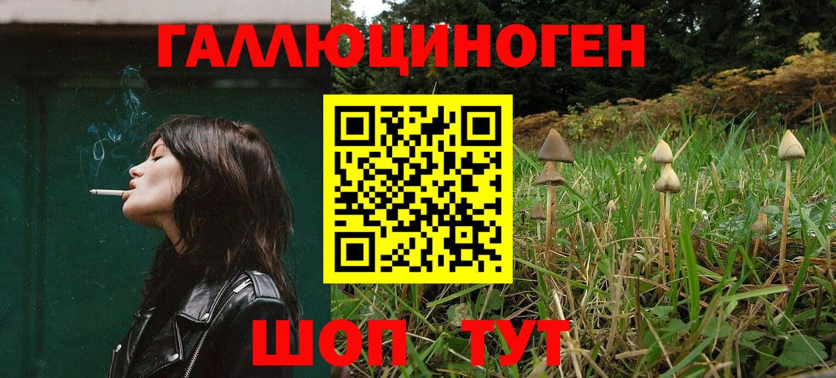 Нефтекамск  Галлюциногенные грибы Psilocybe  Вход с VPN 